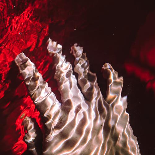 Photo #4327574