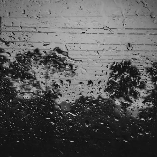 Photo #4327585
