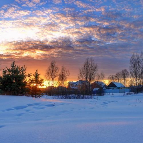 Photo #4327589