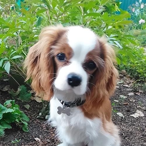 Photo #4327719