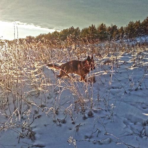 Photo #4327869