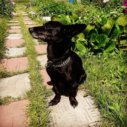 Photo #4328142