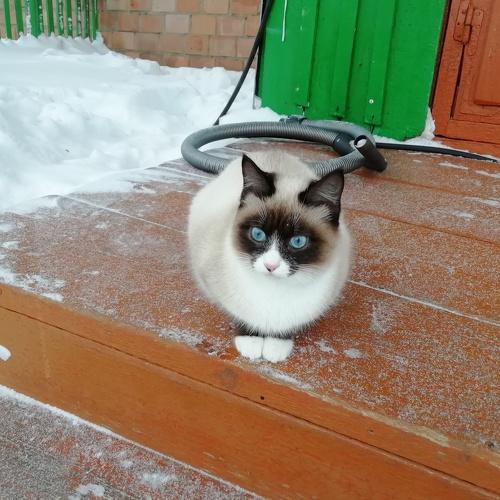 Photo #4328154