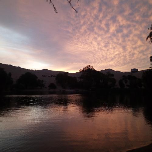 Photo #4328352