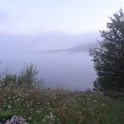 Photo #4328467