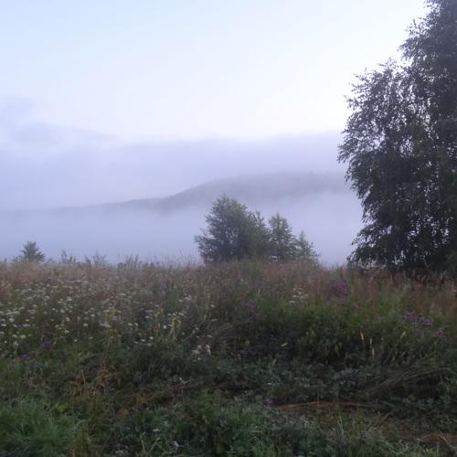 Photo #4328512