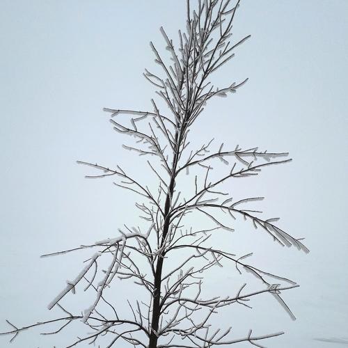 Photo #4328872