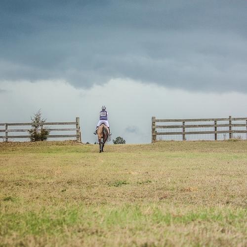 Photo #4328878