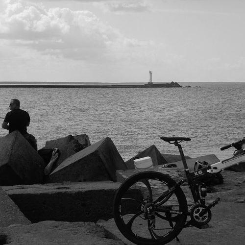Photo #4328934