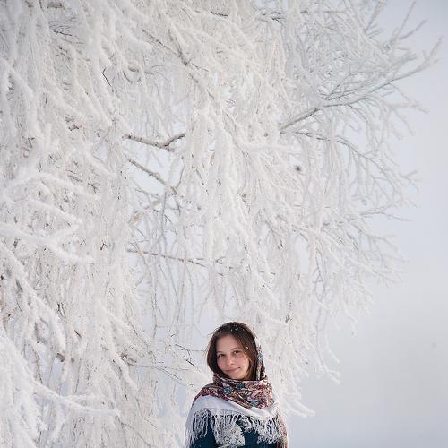 Photo #4329440