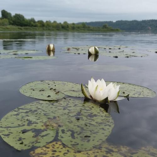 Photo #4329812