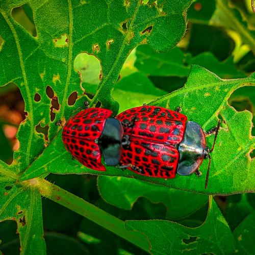Photo #4329921