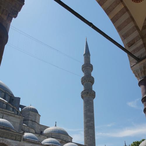 Photo #4329938