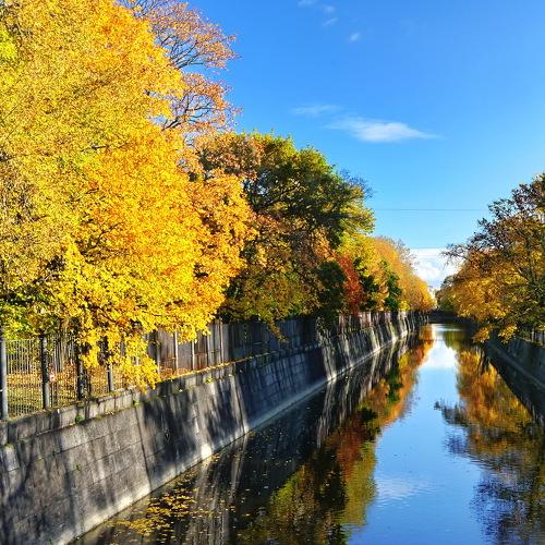 Photo #4329951