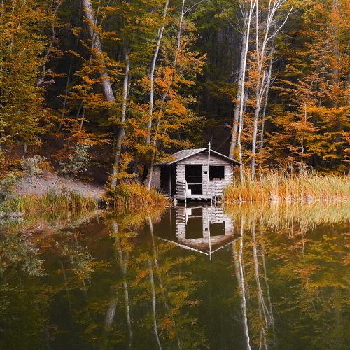 Photo #4329980