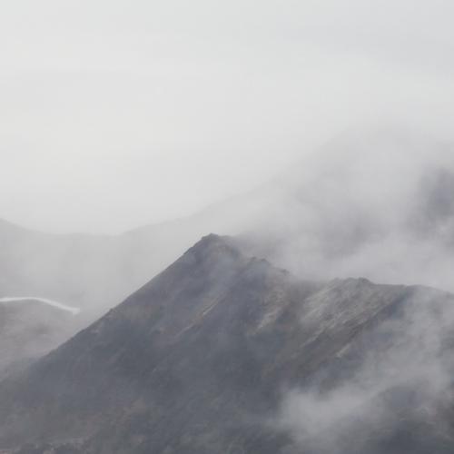 Photo #4330113