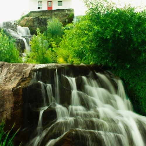Photo #4330759