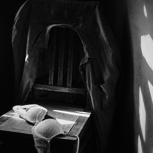 Photo #4330783