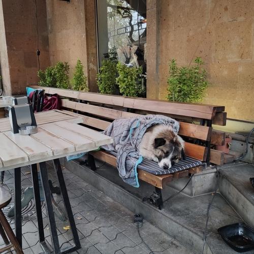 Photo #4330949