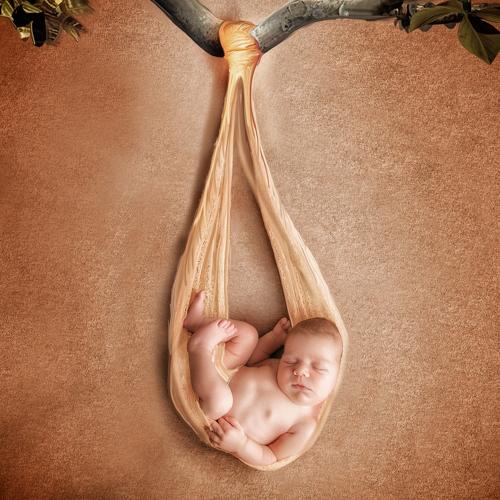 Photo #4331057