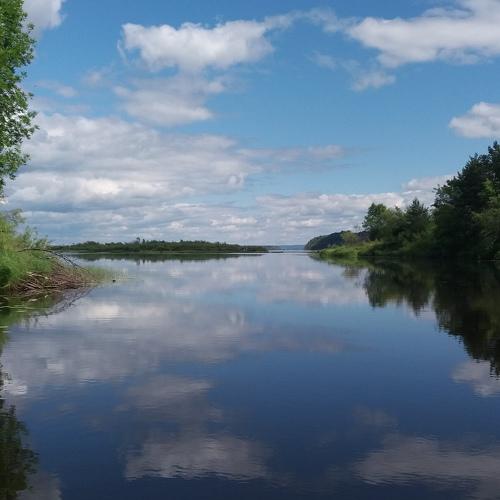 Photo #4331500