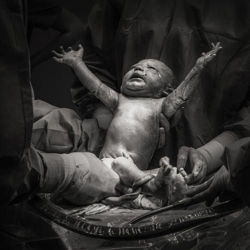 Шоу начинается!