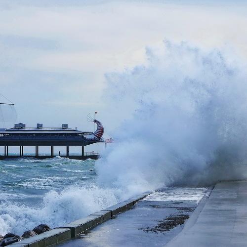Photo #4332496