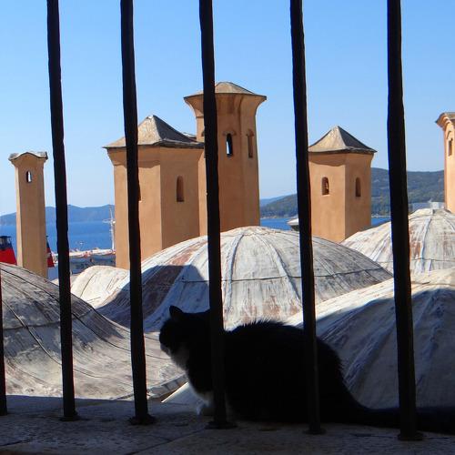Photo #4332659