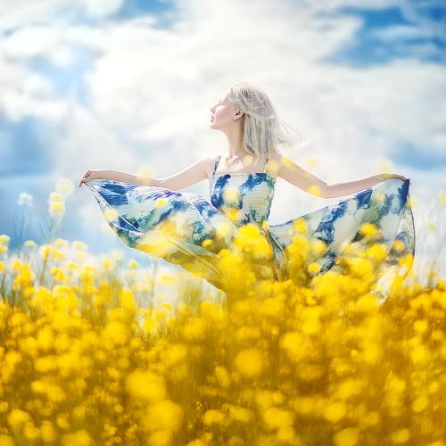 Photo #4333335