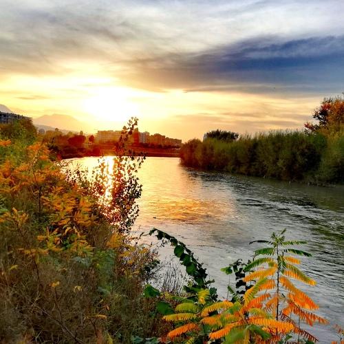 Photo #4333499