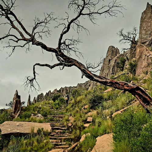Photo #4333877