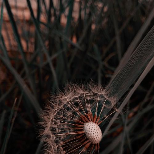 Photo #4334082