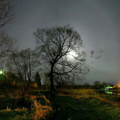 Photo #4334438