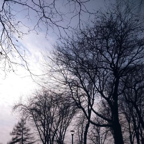 Photo #4334686