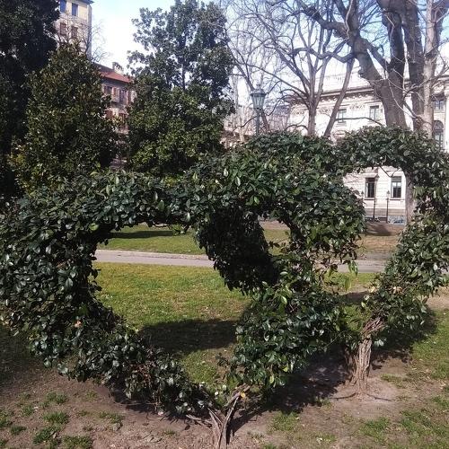 Photo #4334795
