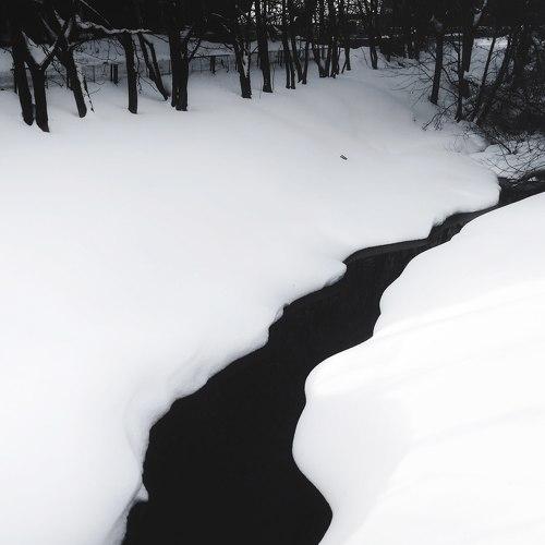 Photo #4334921