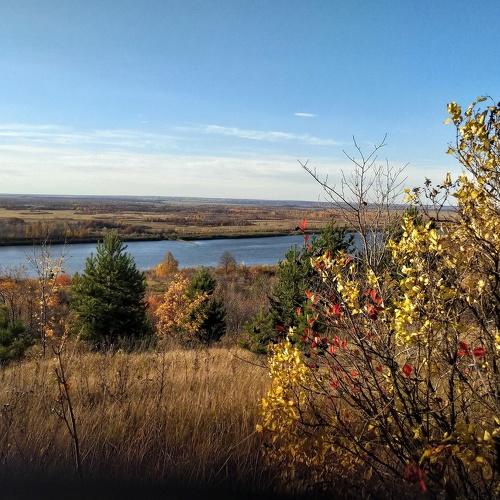 Photo #4334938