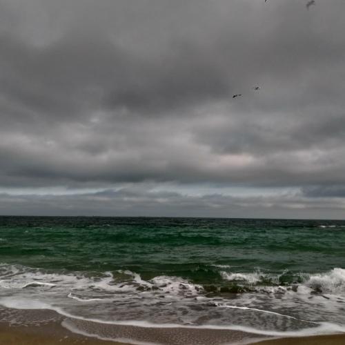И все таки море Черное