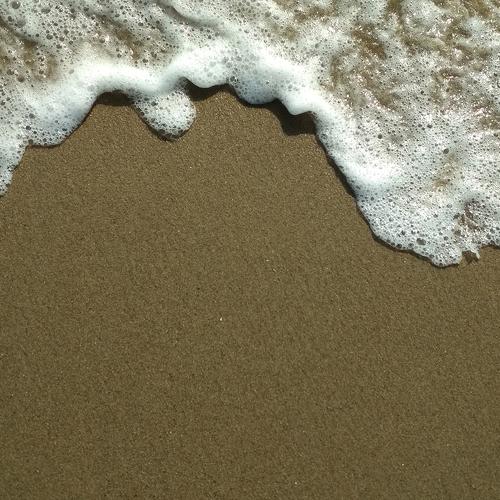 Photo #4335170