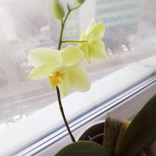 Photo #4335402