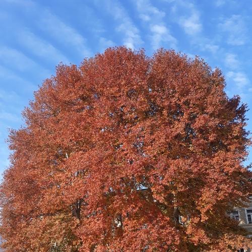 Photo #4335703