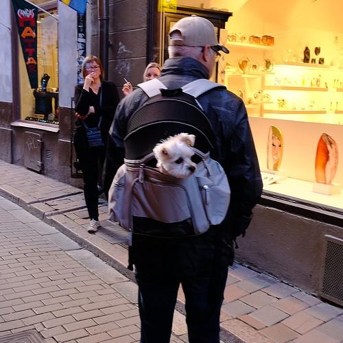 Gamla Stan