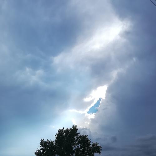 Photo #4336883