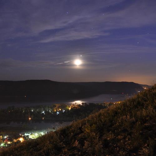 Photo #4336960