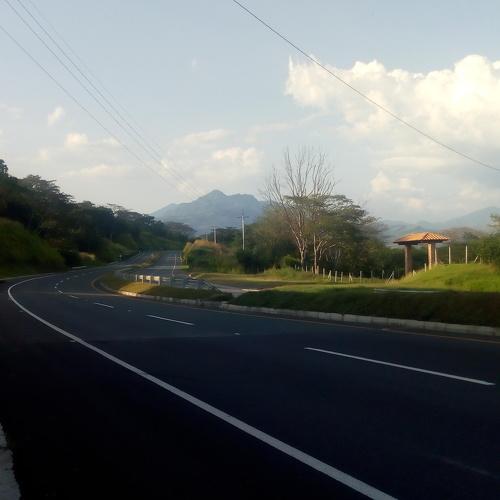 Photo #4337413