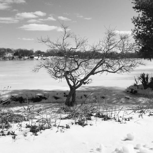 Photo #4337418