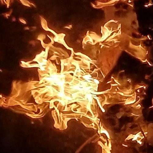 Photo #4337443