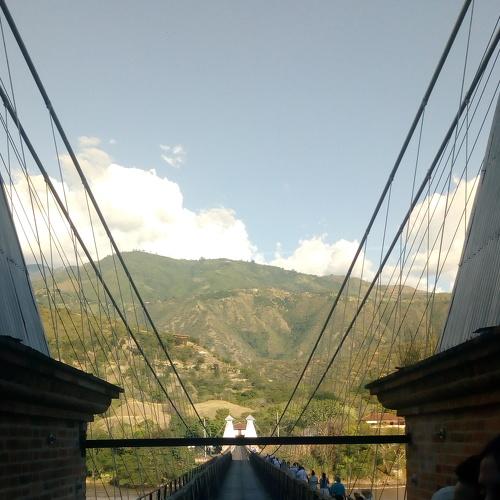 Photo #4337457