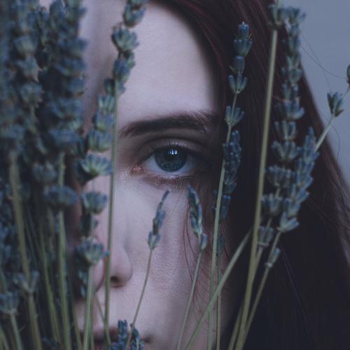 Photo #4337721