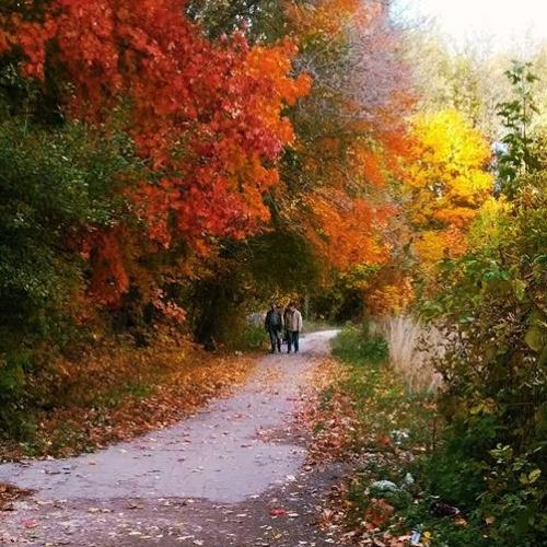 Photo #4337735